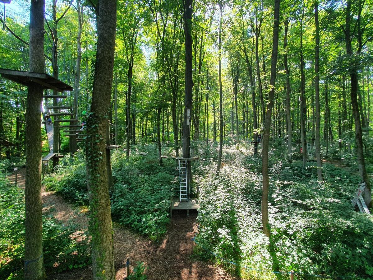 Ferienhaeuser Oberdorla Extérieur photo